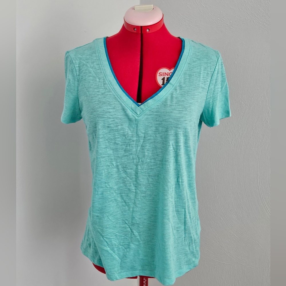 Like New Blue Heather V Neck Shirt
